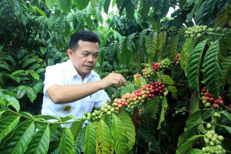 Bupati Merangin, Al Haris. Foto: IST