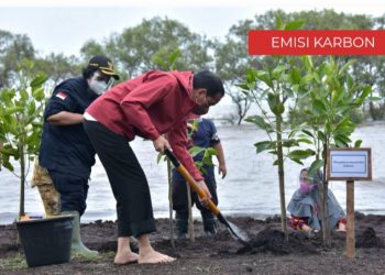 Presiden Joko Widodo (kanan) didampingi Menteri Lingkungan Hidup dan Kehutanan Siti Nurbaya melakukan penanaman mangrove di kawasan wisata Raja Kecik, Desa Muntai Barat, Kecamatan Bantan, Kabupaten Bengkalis, Riau, Selasa (28/9/2021). ANTARA FOTO