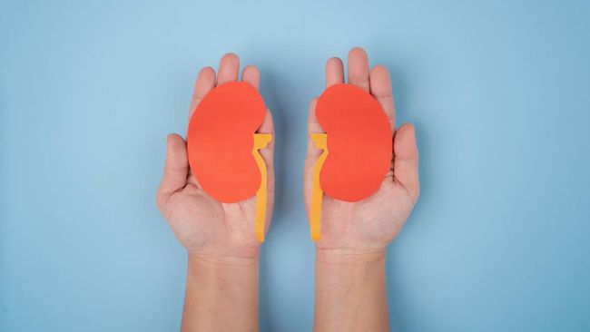 (Foto: iStockphoto)